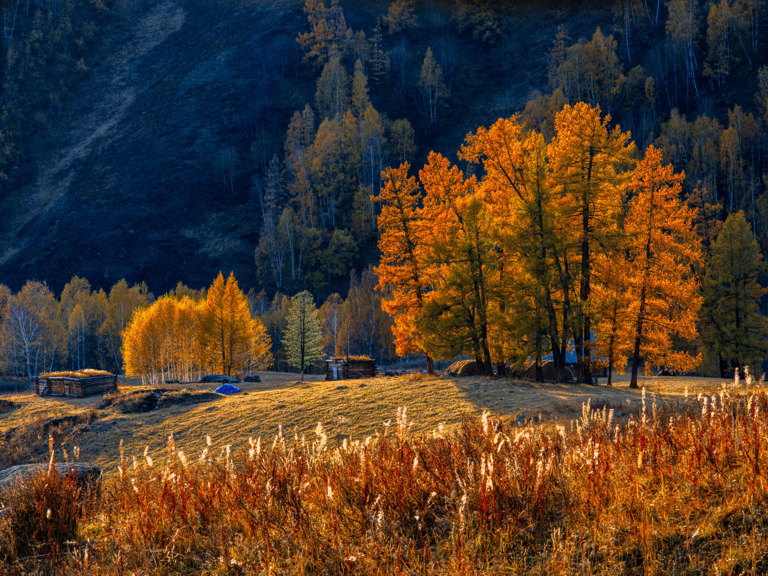 Ways to Make Your House Cozy for Fall Showings